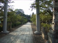 高宮神社。幼い頃はよく遊びました。